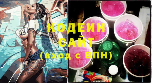 индика Семилуки