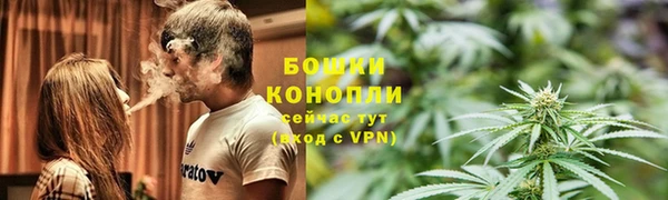шишки Семикаракорск