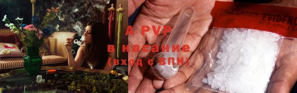 шишки Семикаракорск