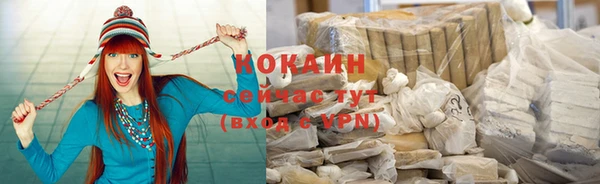 индика Семилуки