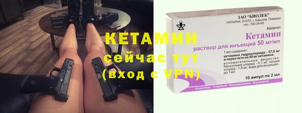 индика Семилуки