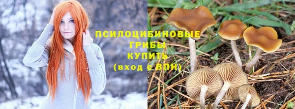шишки Семикаракорск