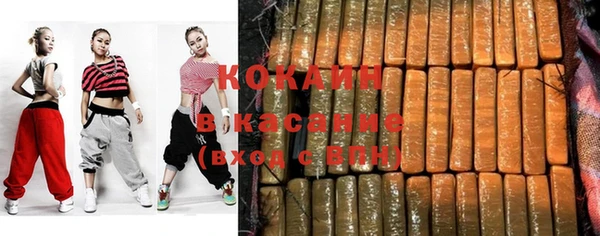 стаф Дрезна