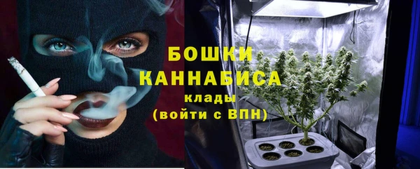 индика Семилуки