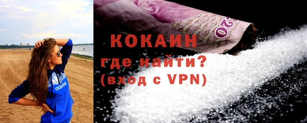 индика Семилуки