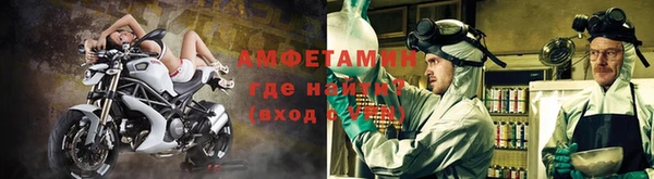 индика Семилуки